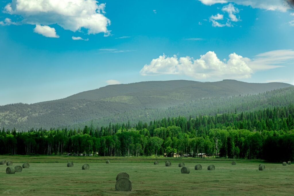 a field with bales of hay in the foreground and a mountain in the