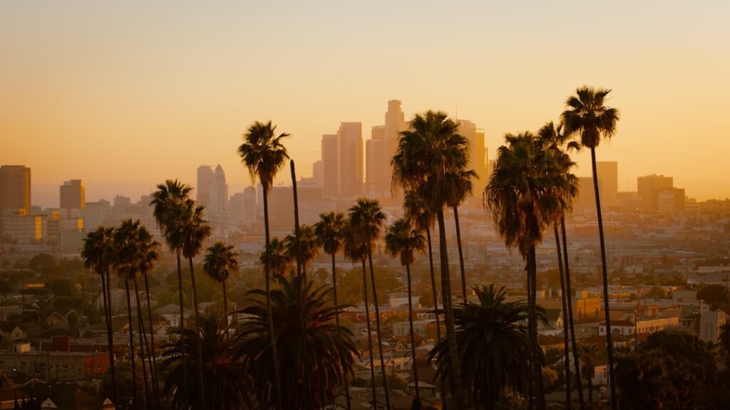 Palm trees silhouetted against the Los Angeles skyline during the golden hour.