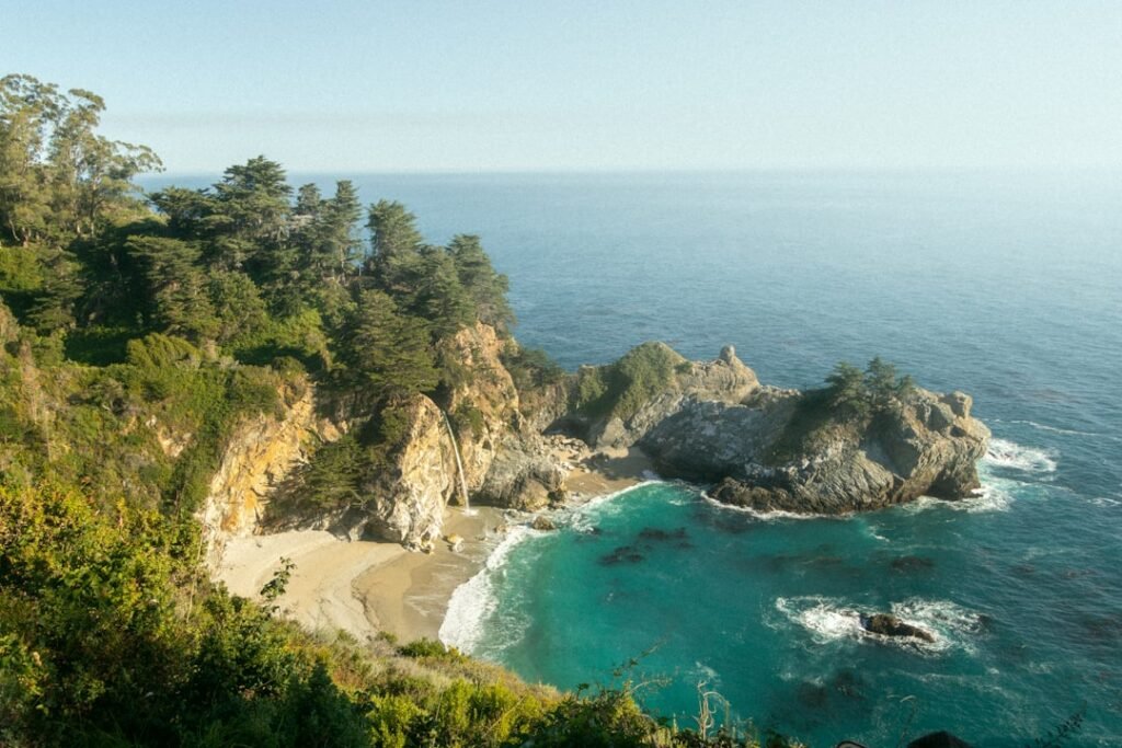 green trees on brown rocky mountain beside blue sea during daytime