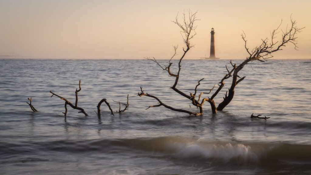 Distant lighthouse and bare tree branches in calm ocean water