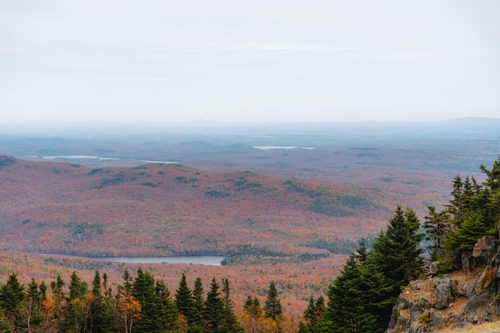 Autumn forest landscape with lakes and mountains