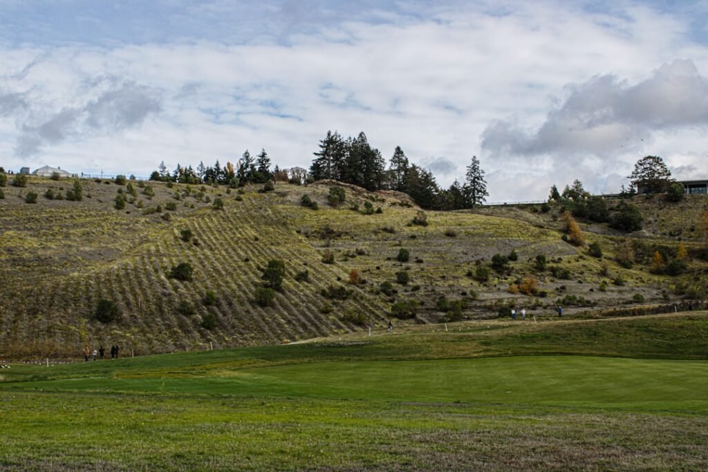 A green field with a hill in the background