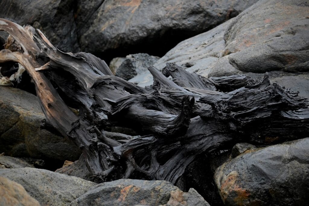 A close up of rocks with a tree stump in the middle