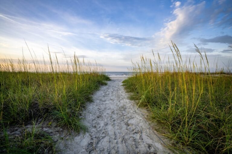 a path leading to the beach with tall grass