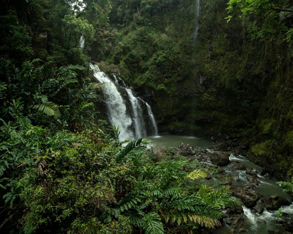 time lapse photography of falls in the jungle