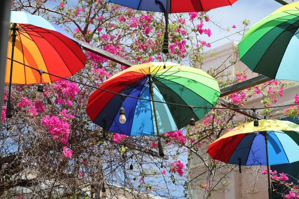 Colorful rainbow umbrellas hanging above vibrant pink flowers.